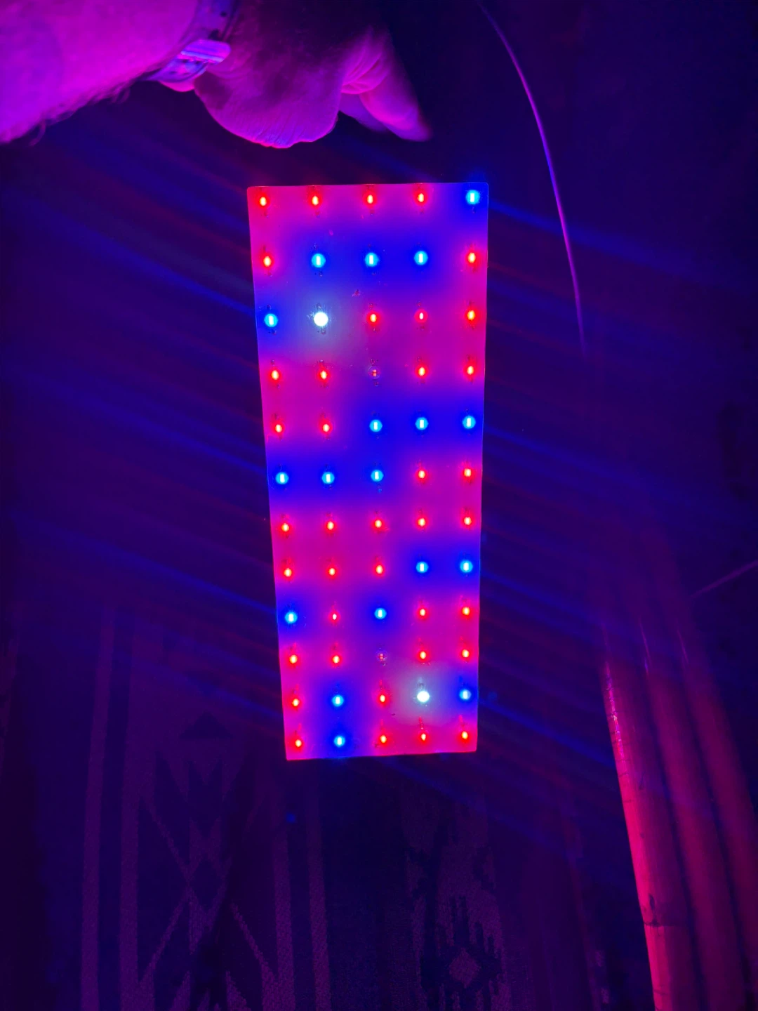 Phlizon 600w Grow Light - photo 5