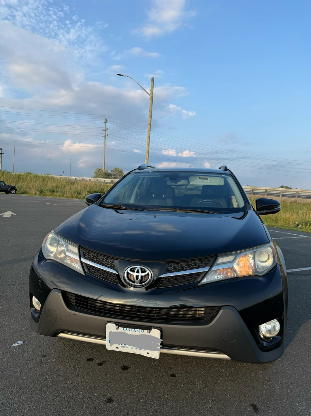 2015 Toyota RAV4 Limited - photo 3