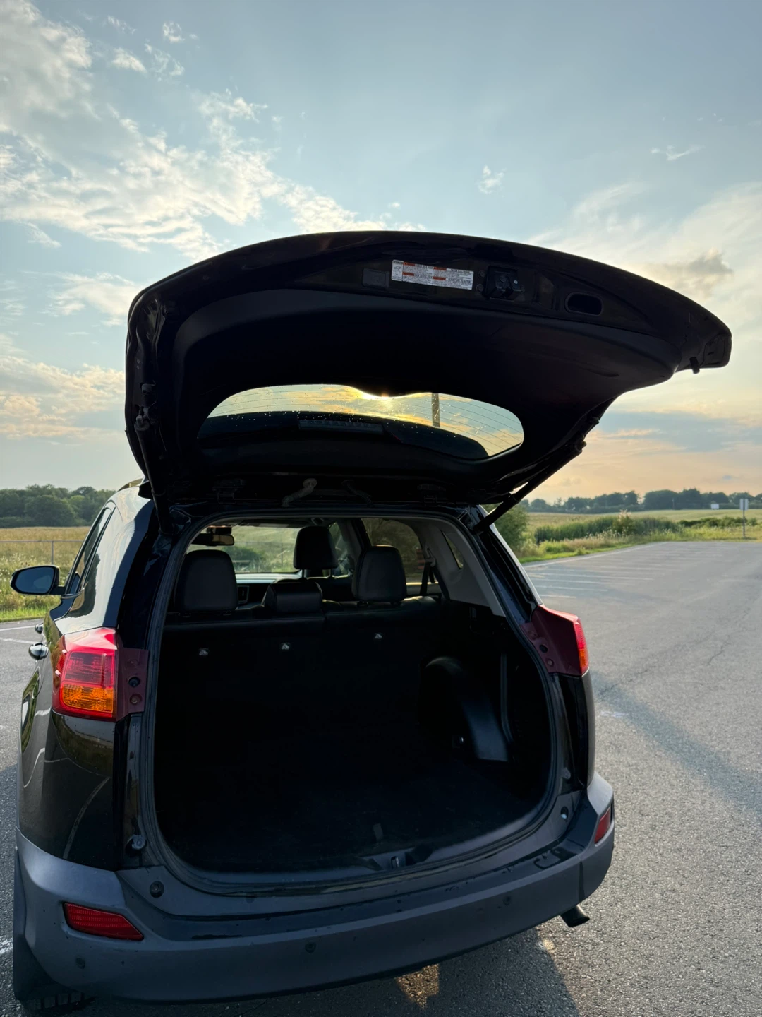 2015 Toyota RAV4 Limited - photo 5
