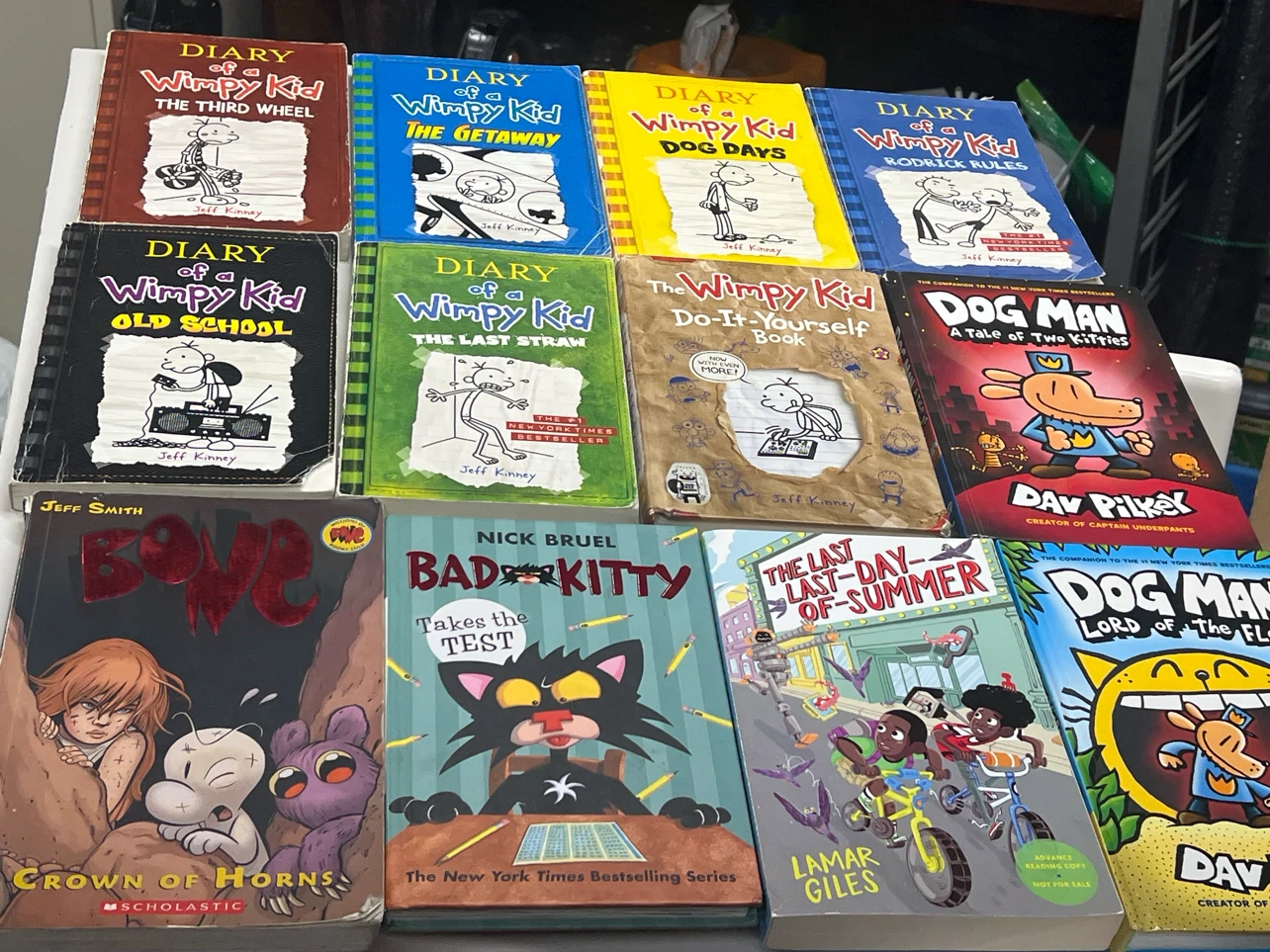 Diary of a Wimpy Kid and Dog Man Books