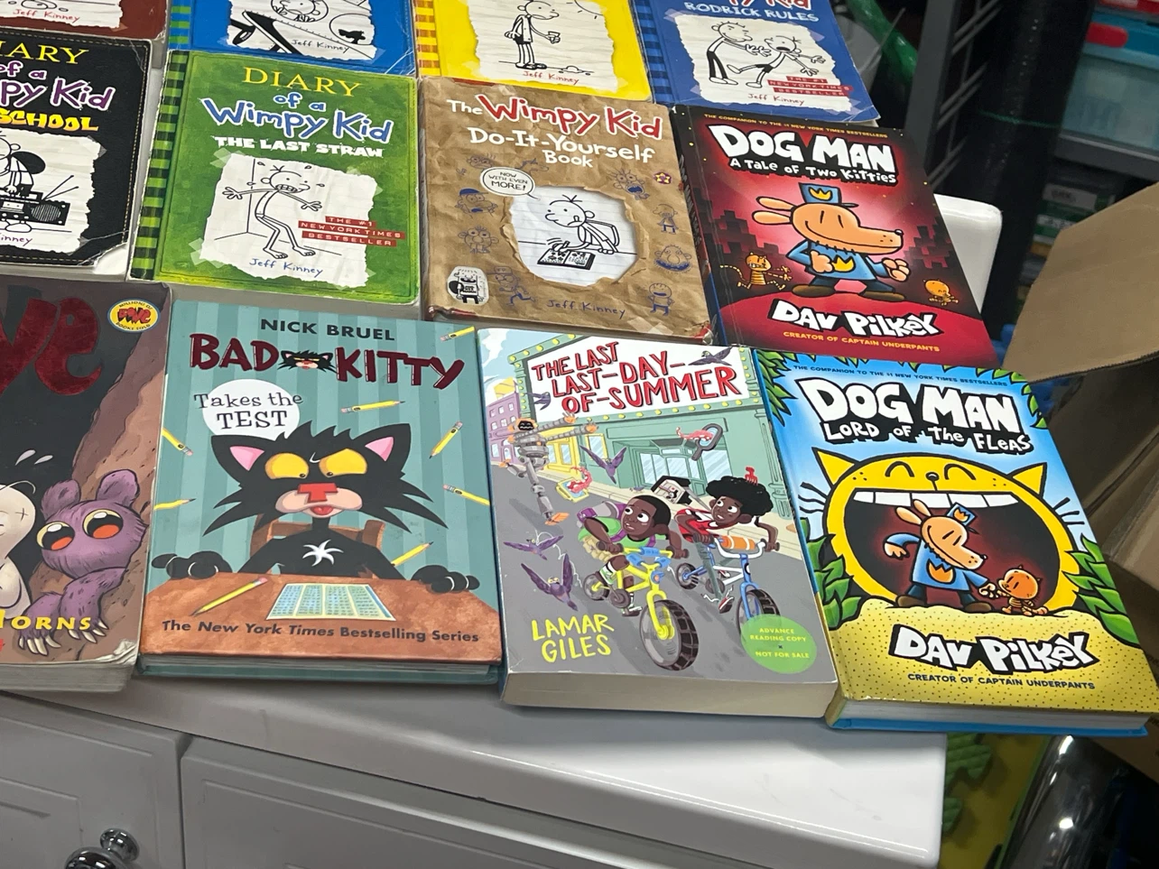 Diary of a Wimpy Kid and Dog Man Books - photo 2