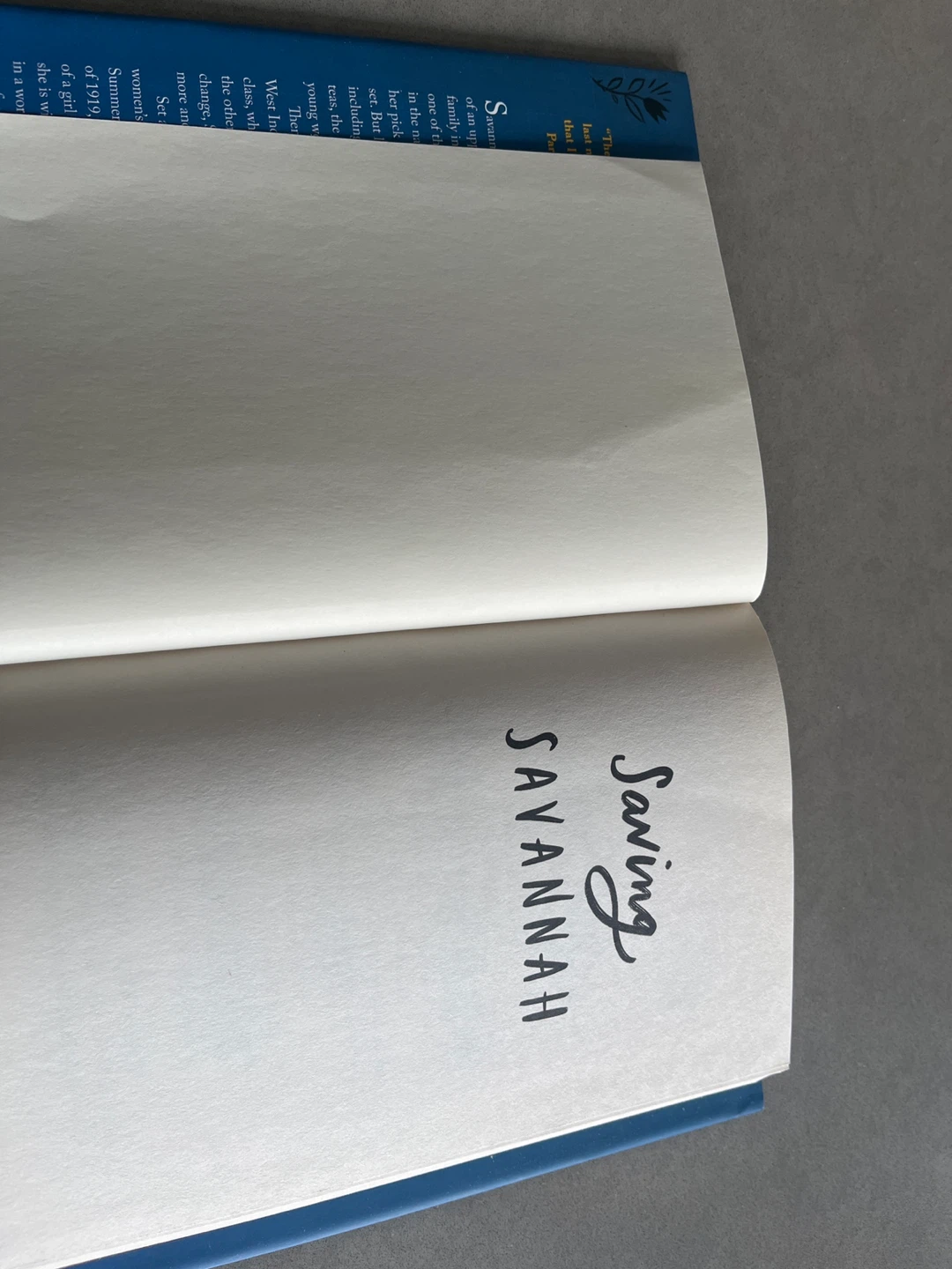 Saving Savannah Hardcover Book