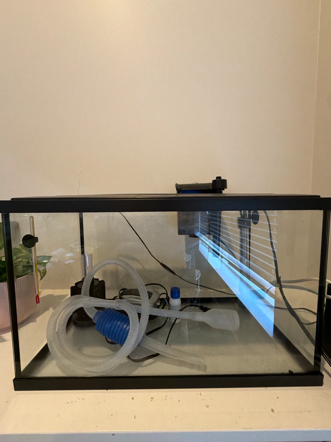 Aquarium Gravel and Tank Setup - photo 3