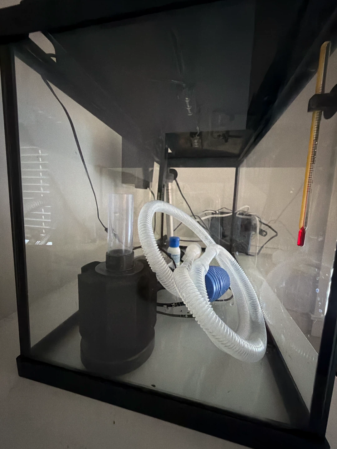 Aquarium Gravel and Tank Setup - photo 4