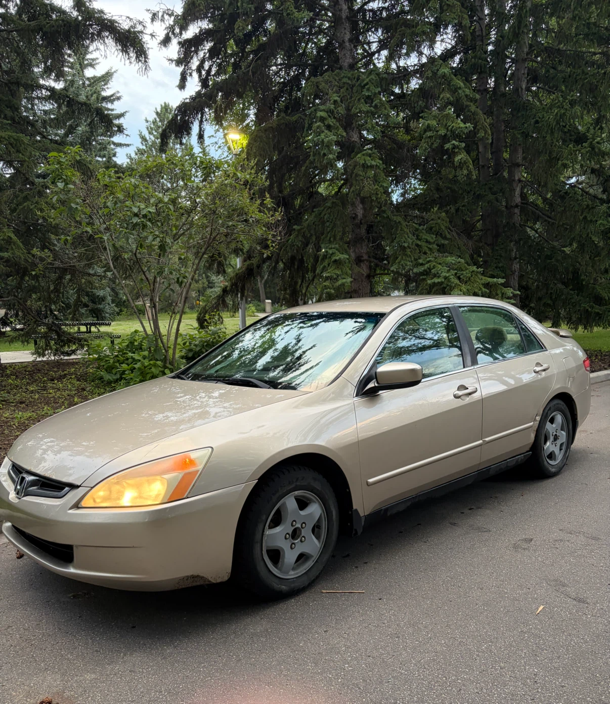 2004 Honda Accord sedan