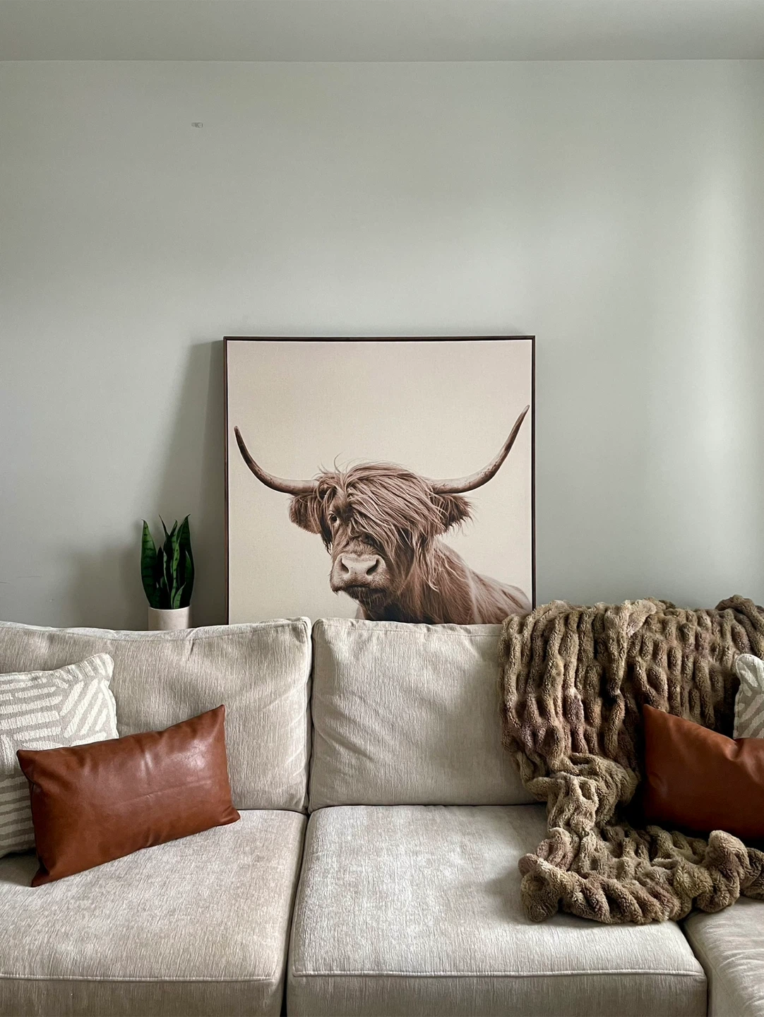 Highland Cow Canvas Wall Art