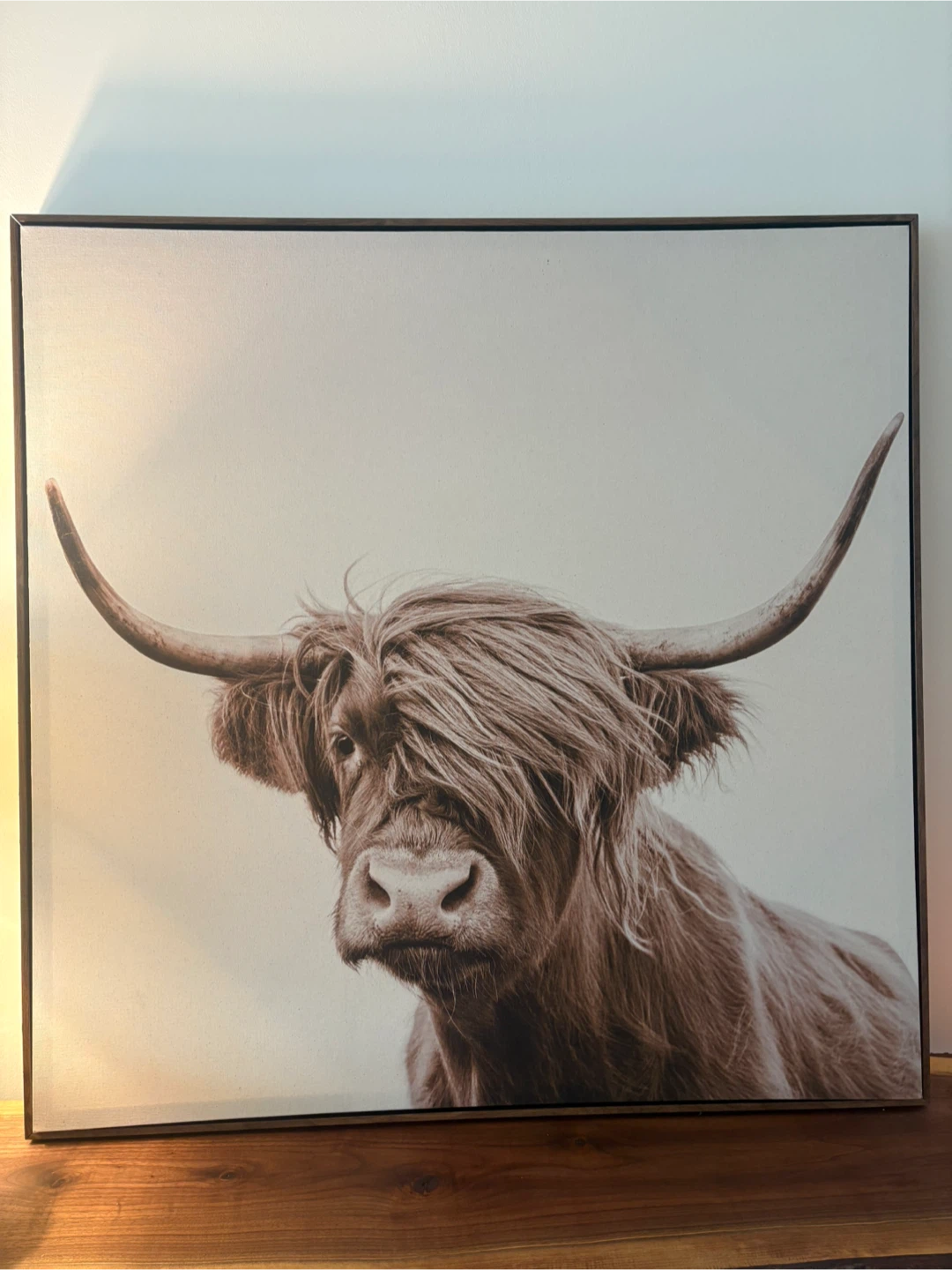Highland Cow Canvas Wall Art - photo 2