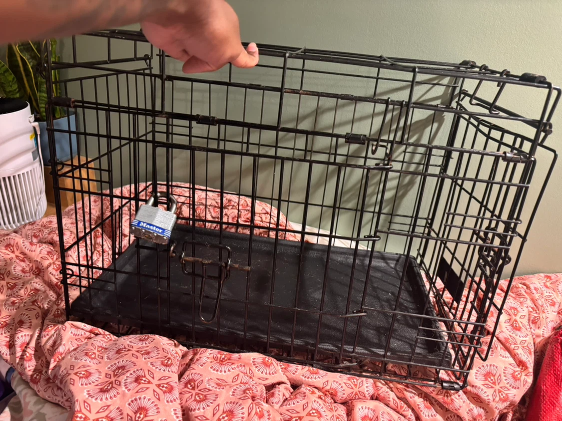 Wire Dog/Cat Crate with Tray (lock not included) - photo 2