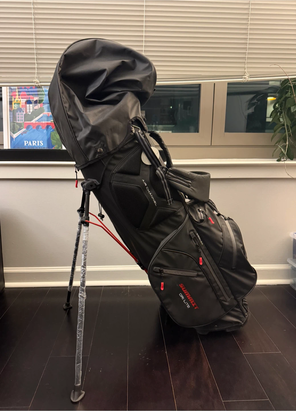 Summit Golf Bag - $100 - photo 2