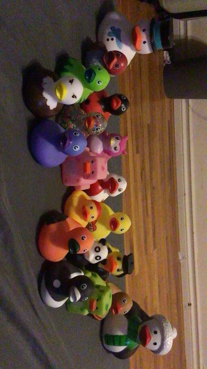 rubber duck collection