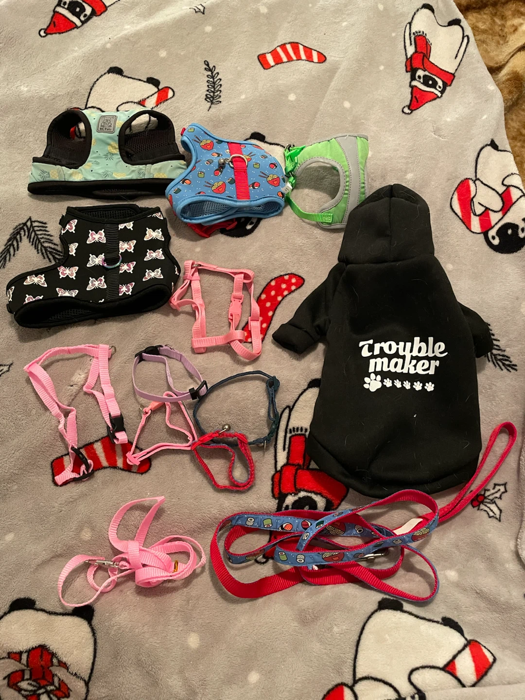 Cat/Kitten Harnesses, Collars & Leashes Lot
