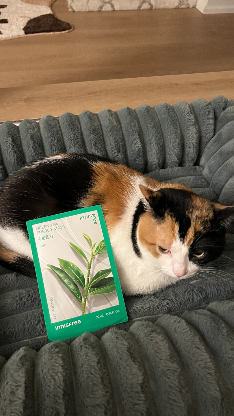Innisfree Green Tea Energy Sheet Masks – 16 for $20 - photo 3