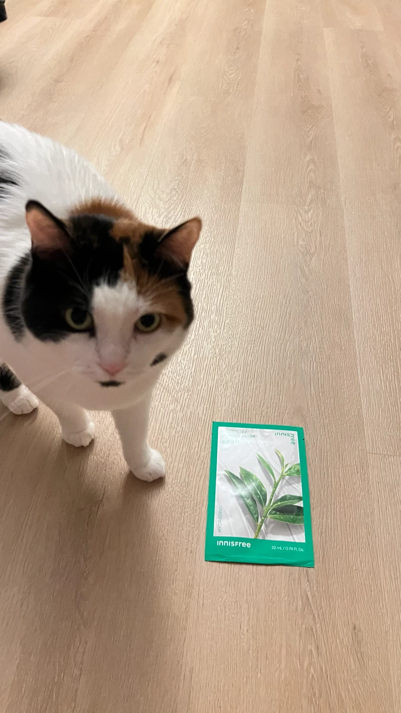 Innisfree Green Tea Energy Sheet Masks – 16 for $20 - photo 4