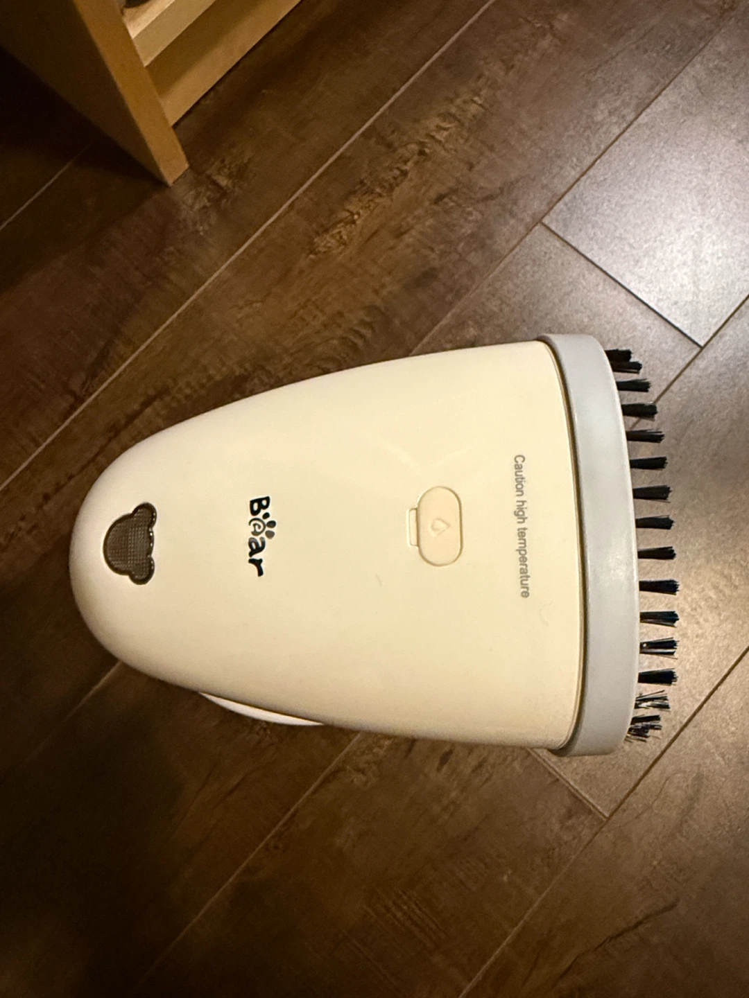 Bear Electric Mini Clothes Steamer Brush