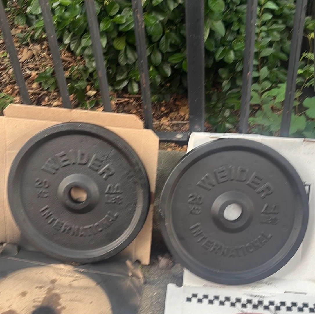 2 joe welder internacional 44lbs plates