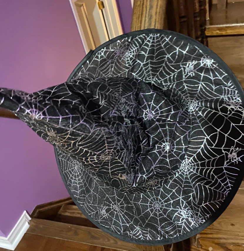Black Halloween Witch Hat with Spiderweb Design