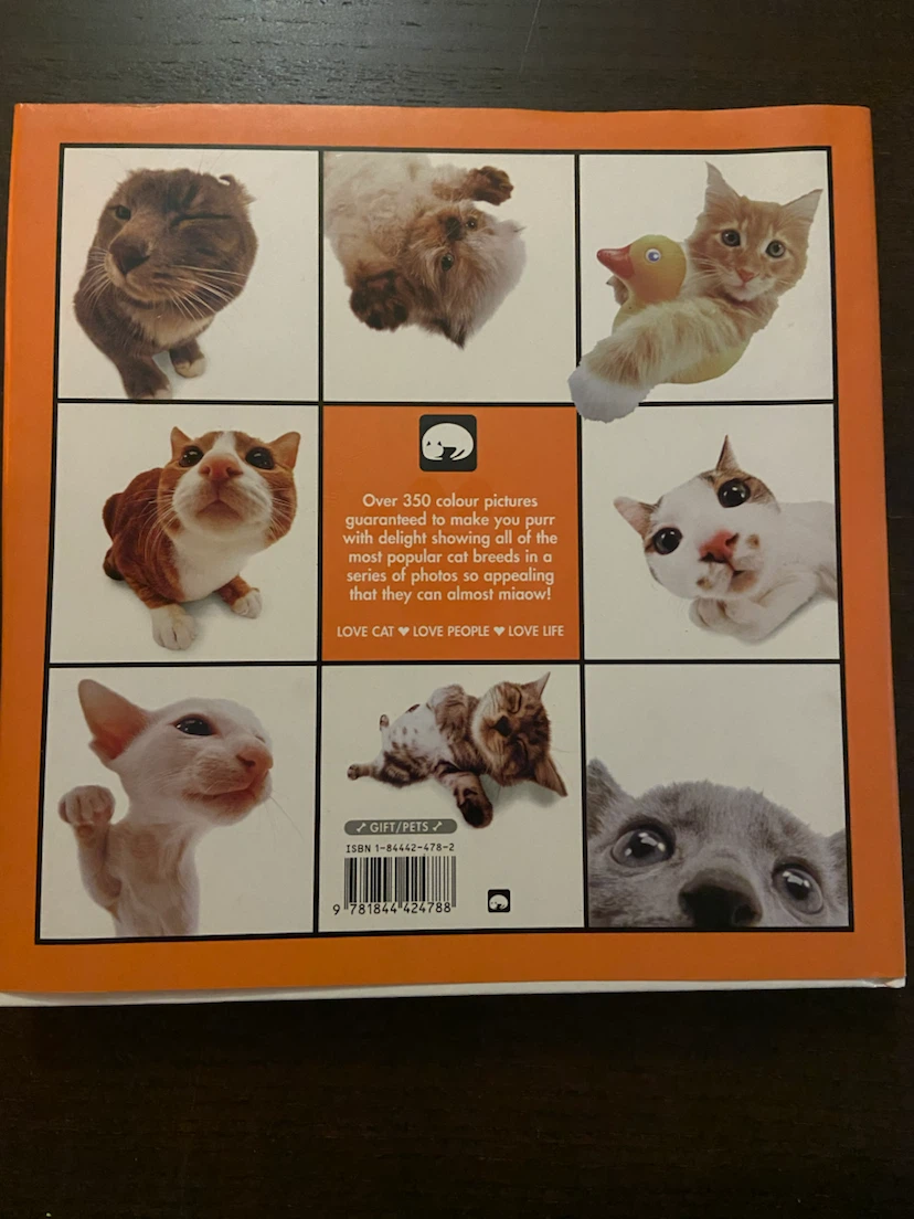 The Original Cat Artlist Collection Book - photo 2