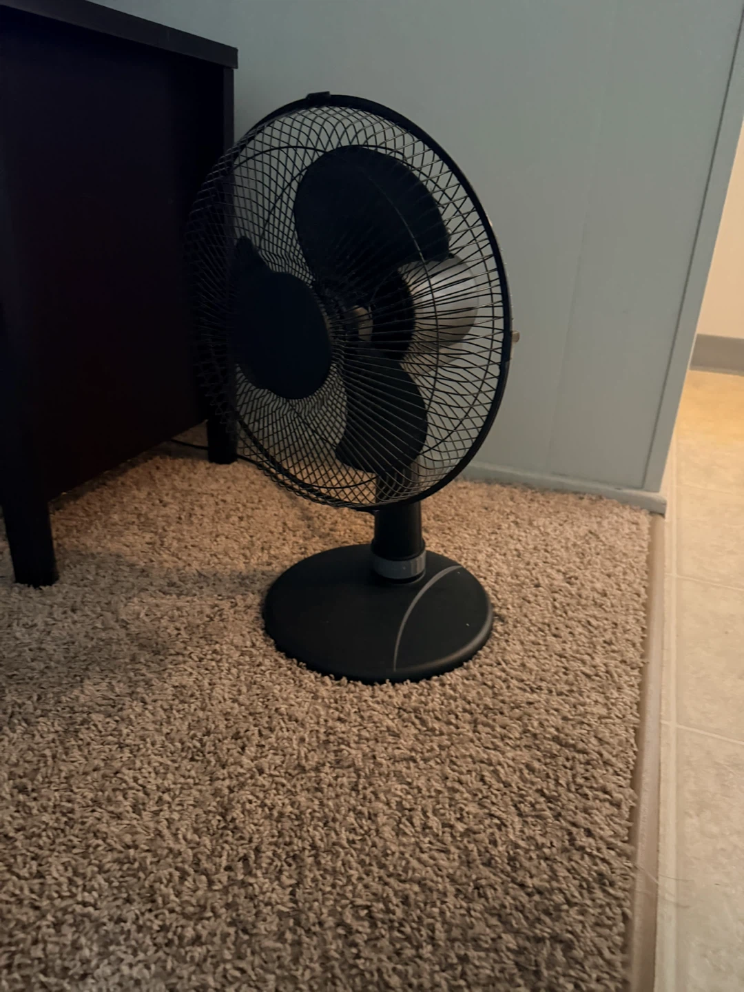 Fan