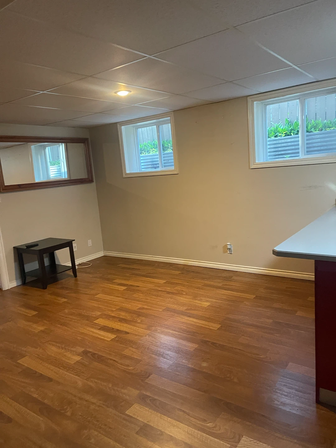 Modern and bright One bedroom basement for rent - photo 3
