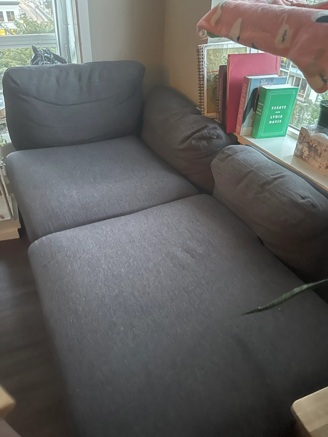 Large Sectional Couch