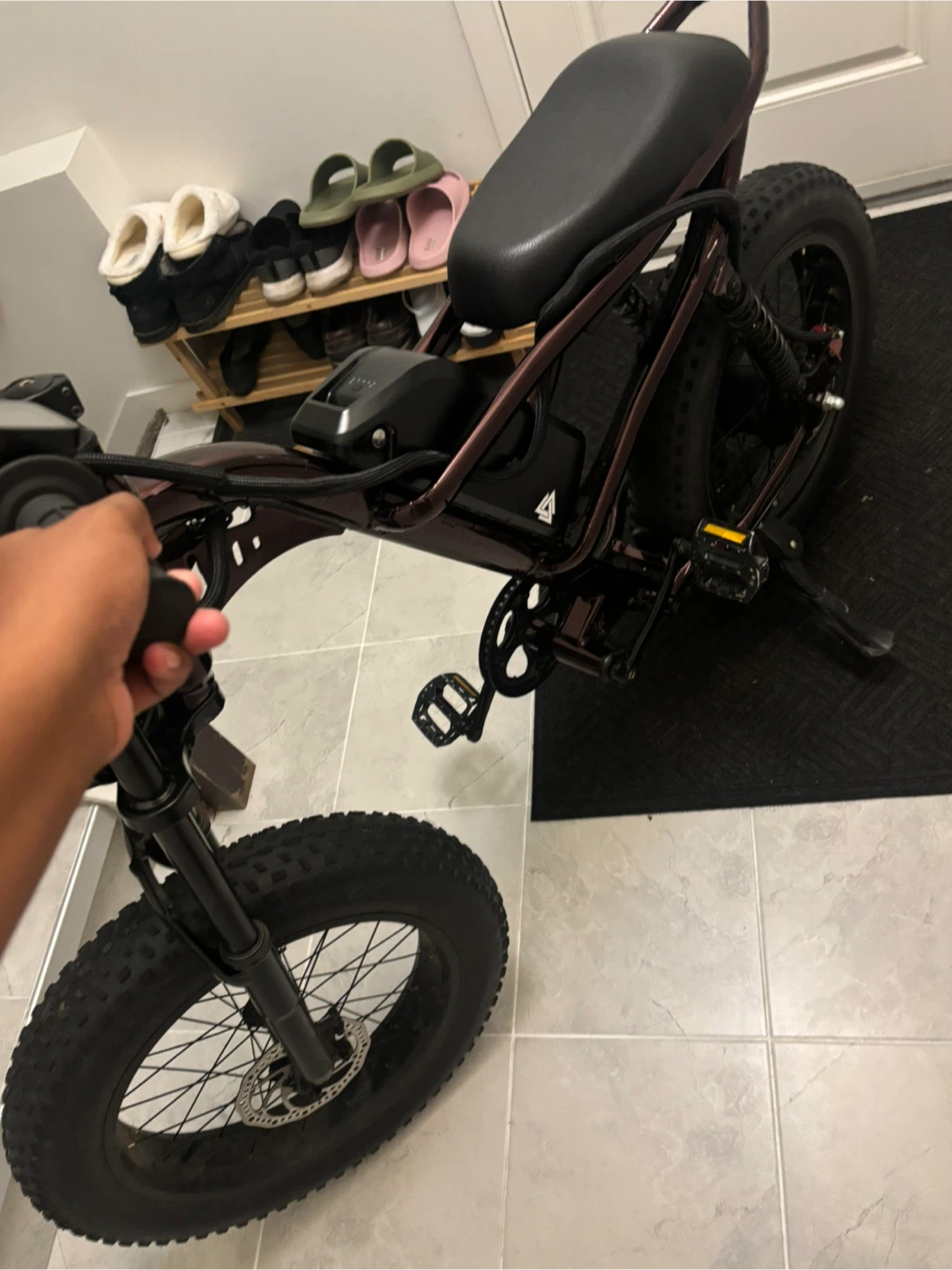 Riding times Z8 fat tire e-bike - photo 4