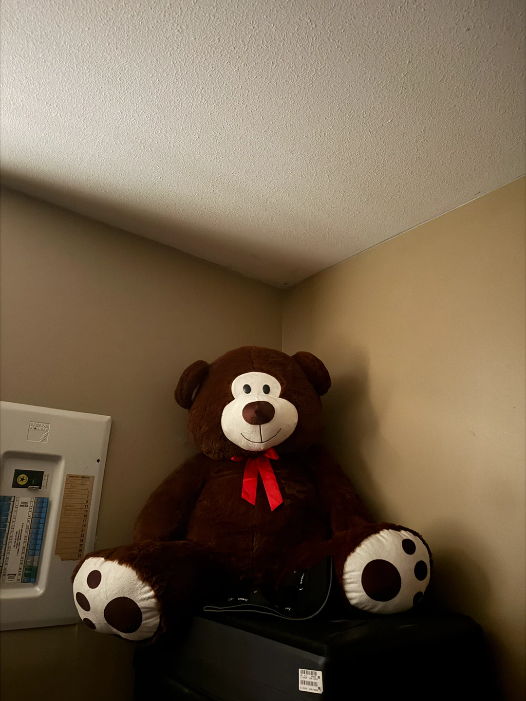 Giant Teddy Bear Plush Toy - Brown