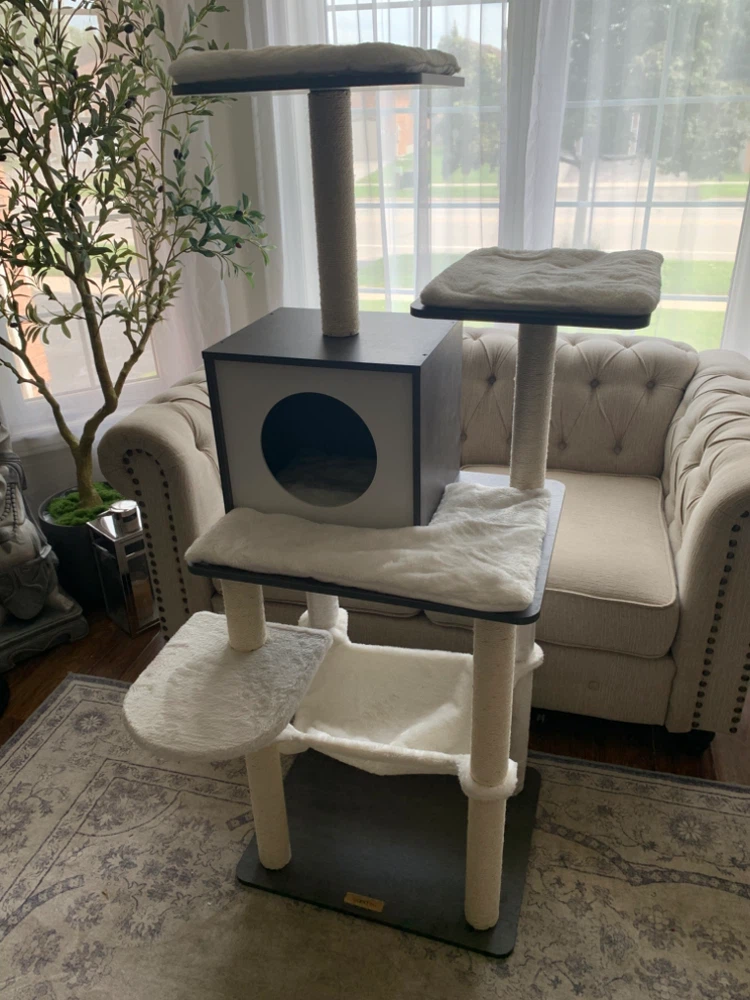 🌳🐱 NEW FEANDREA 54.3” Modern Cat Tree – Misty Gray