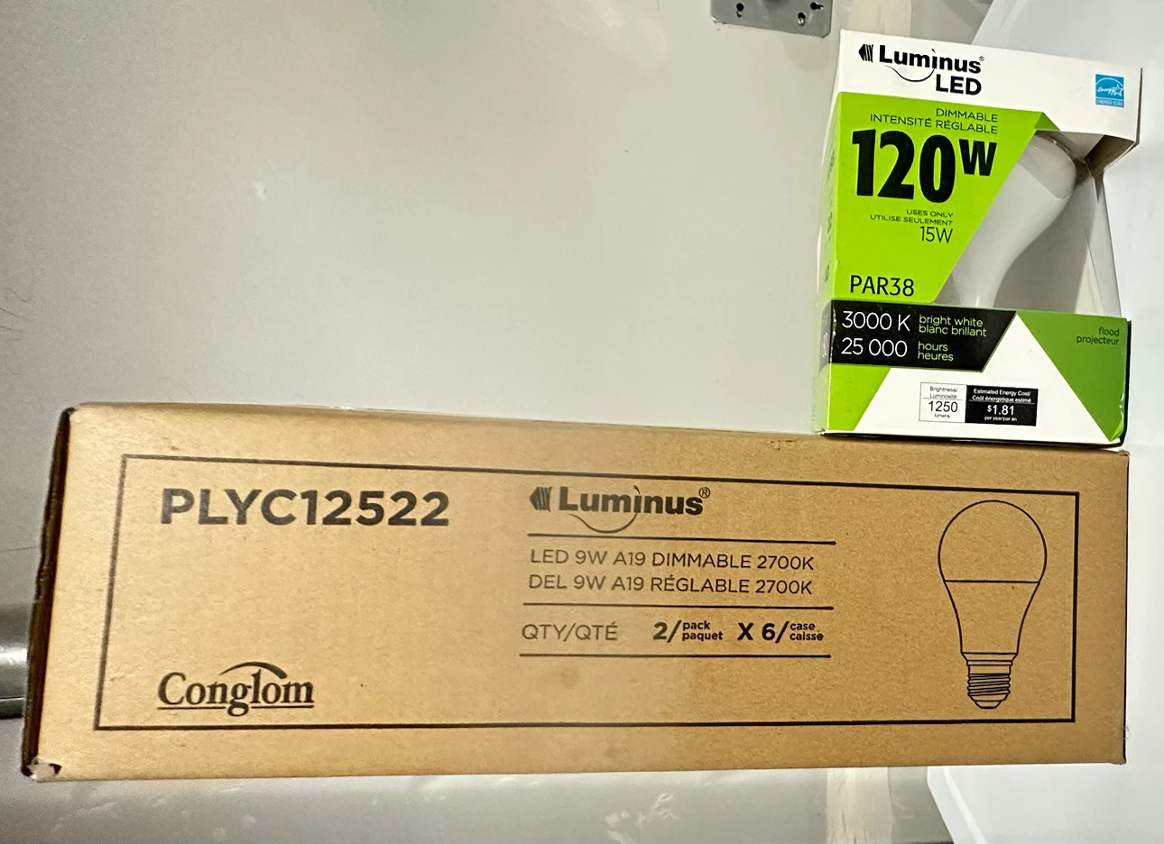 Luminus LED Lighting Bundle – PAR38 Flood + A19 Dimmable Bulbs