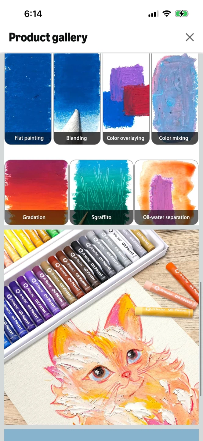 Brand New-Artecho 50 Colors Oil Pastels Set
