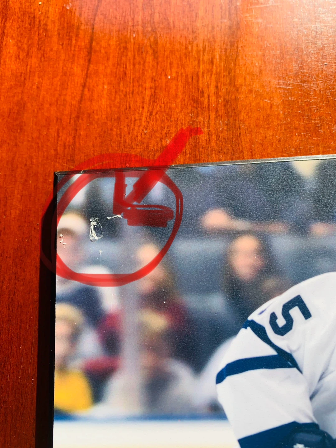 TML Hockey Kaberle and Domi Photo Plaque - photo 4