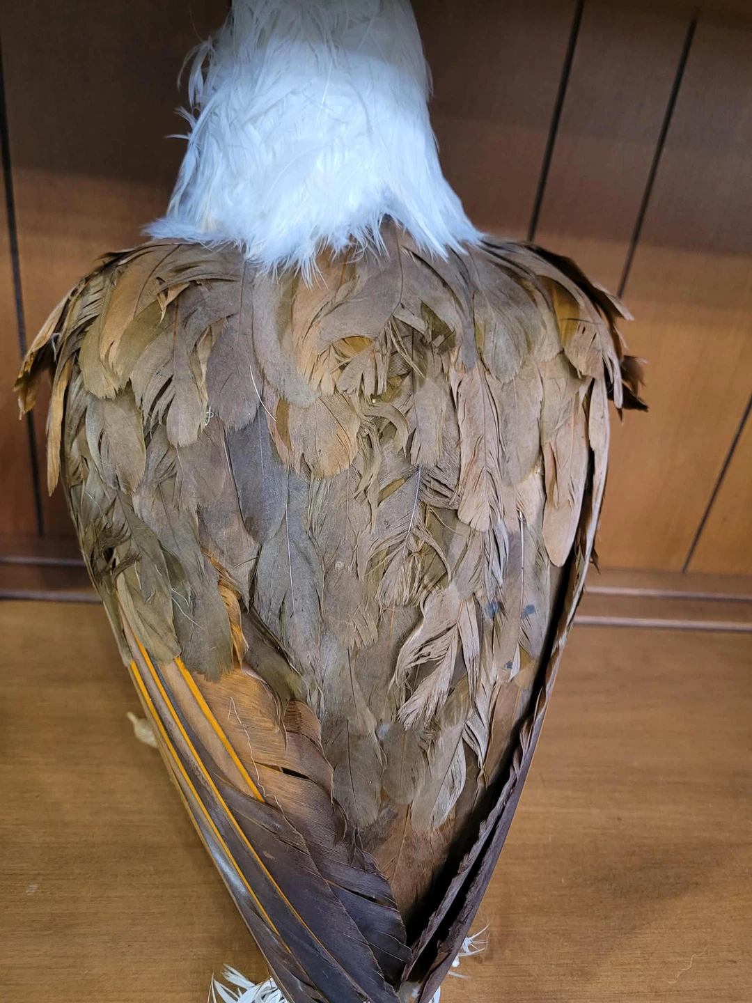 Vintage Decorative art bald Eagle real feathers Figurine statue - photo 2