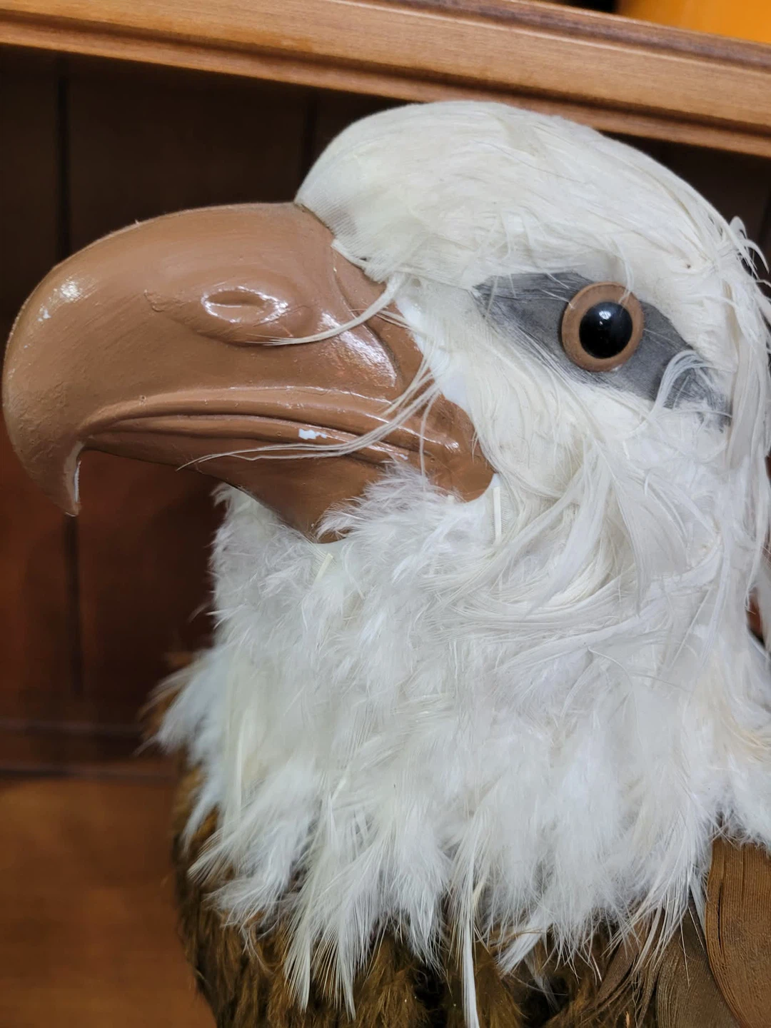 Vintage Decorative art bald Eagle real feathers Figurine statue - photo 3