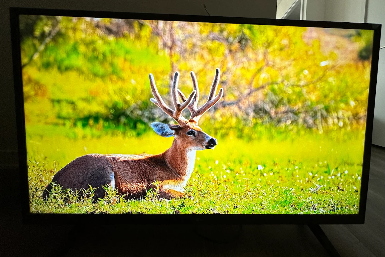 LG 4K UHD 43 inch Smart TV for sale