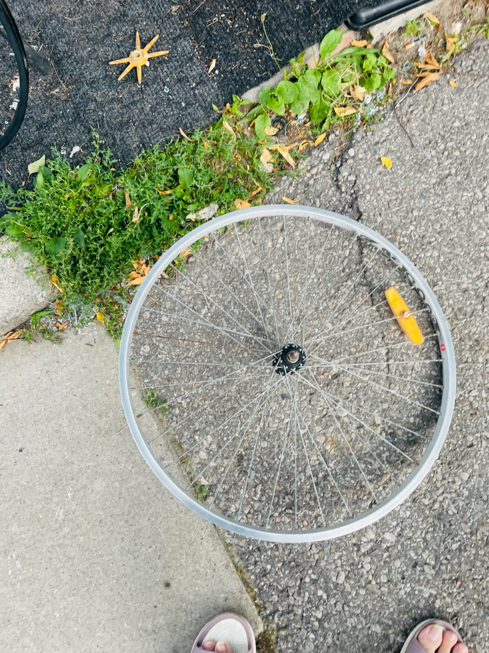 Two Weinmann Bicycle Wheel Rim $10 each