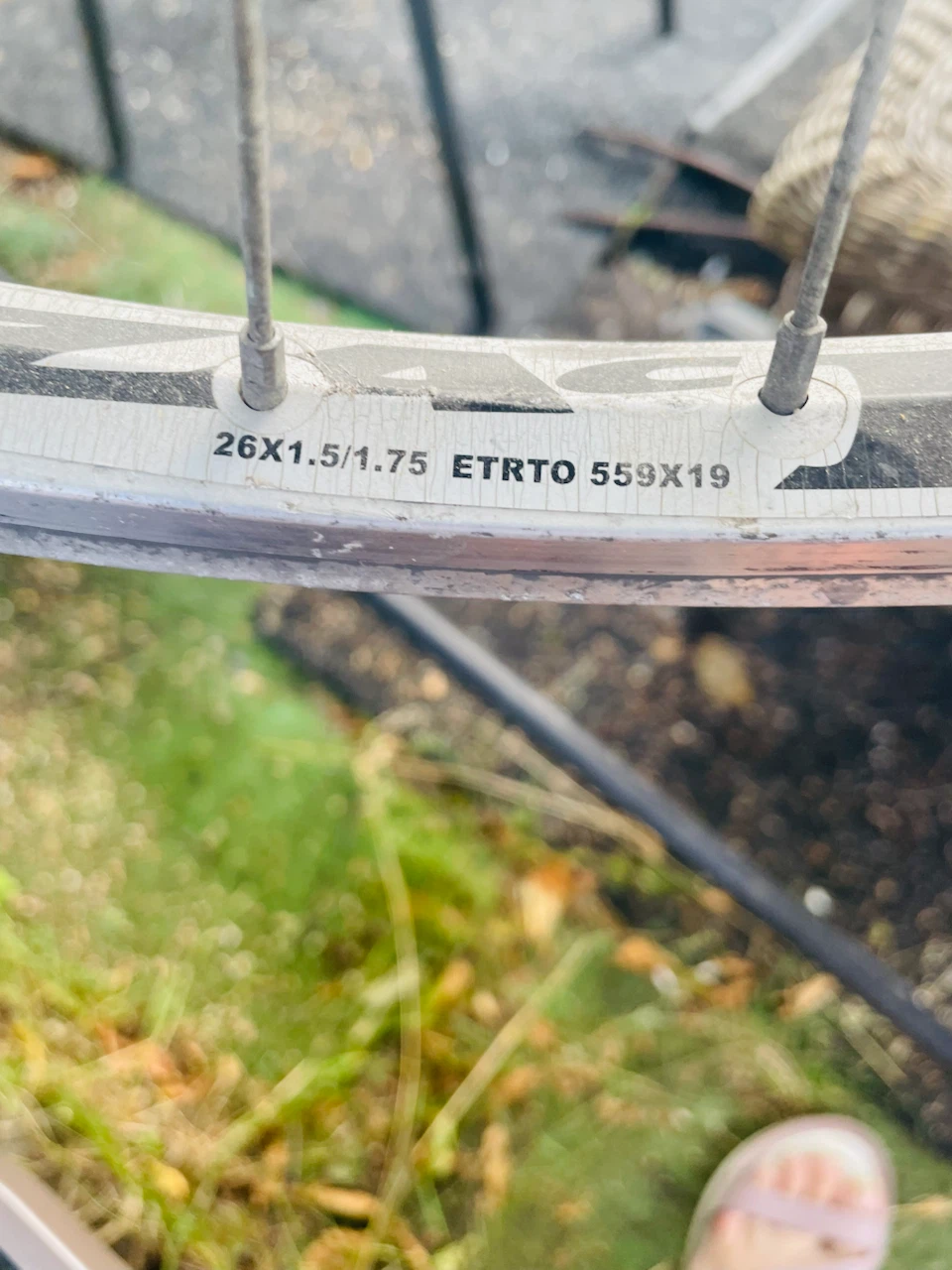 Two Weinmann Bicycle Wheel Rim $10 each - photo 2