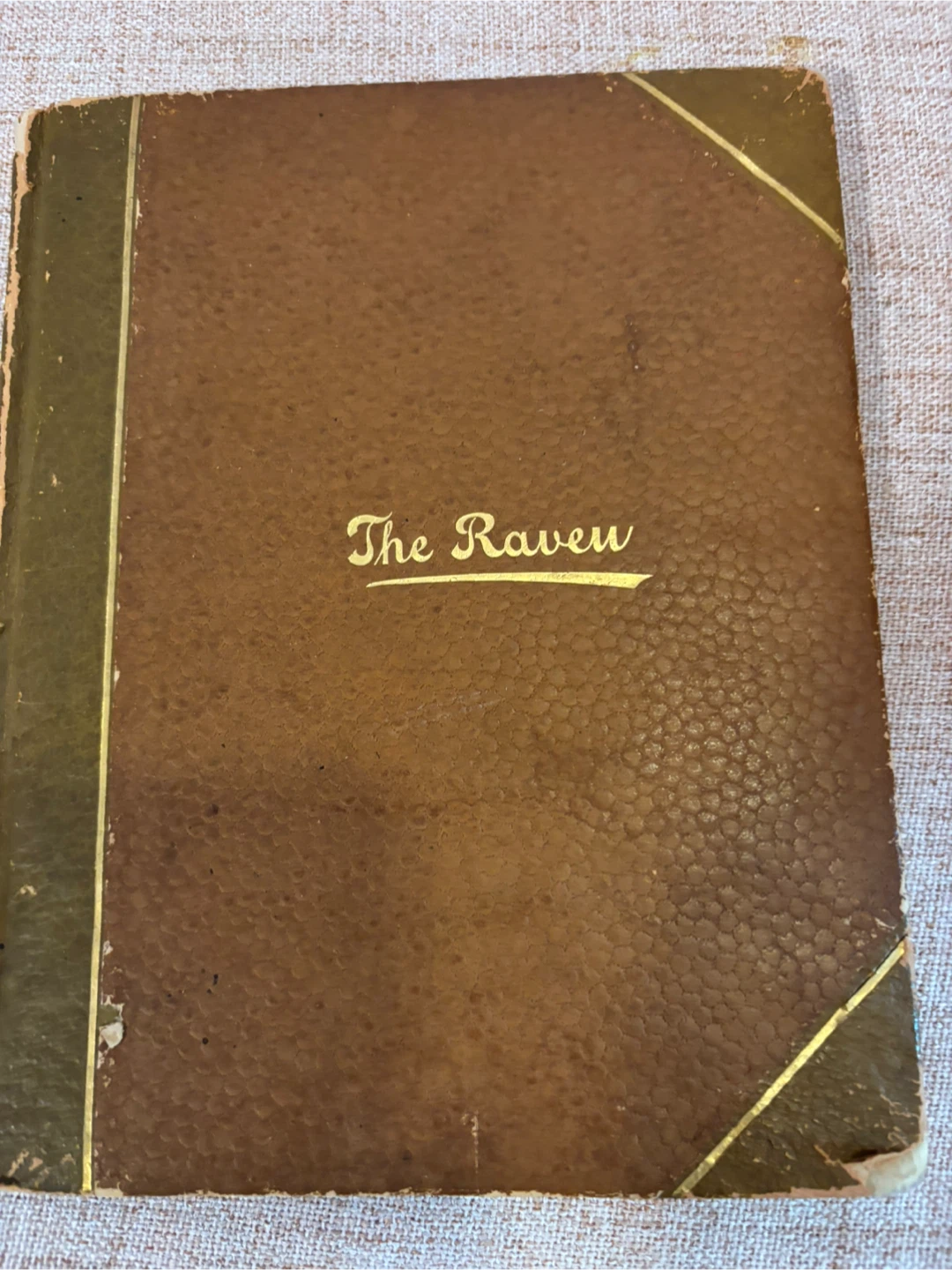 The Raven by Edgar Allan Poe Illustrated Book