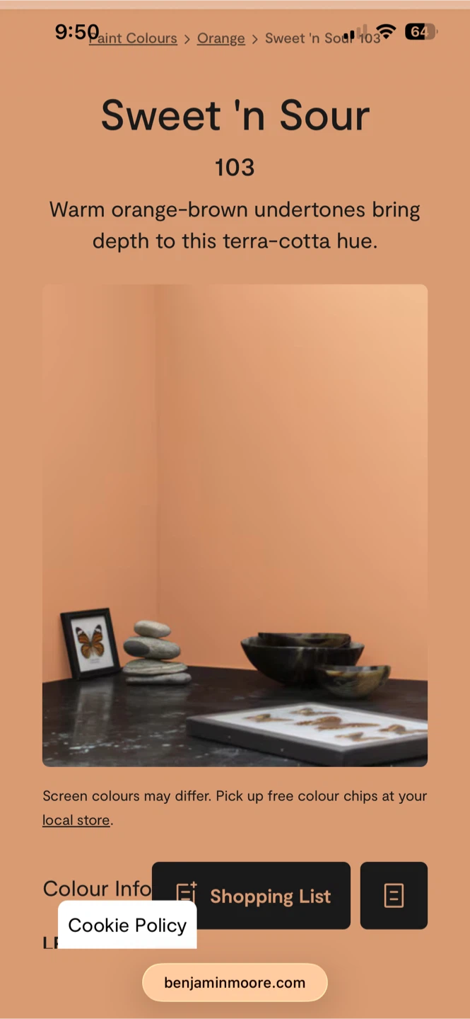 Benjamin Moore Paint - Sweet 'n Sour - photo 3