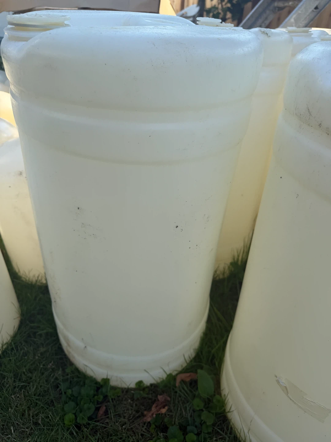 White Plastic Fermentation Jugs - - photo 3