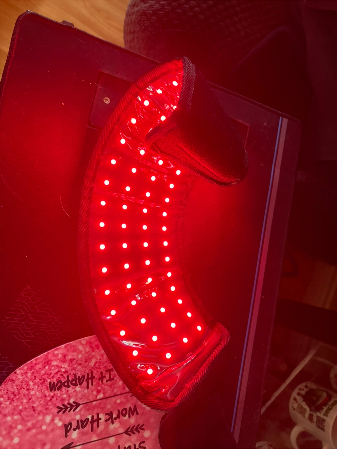 ReGen Equine Red Light Therapy Device - photo 3
