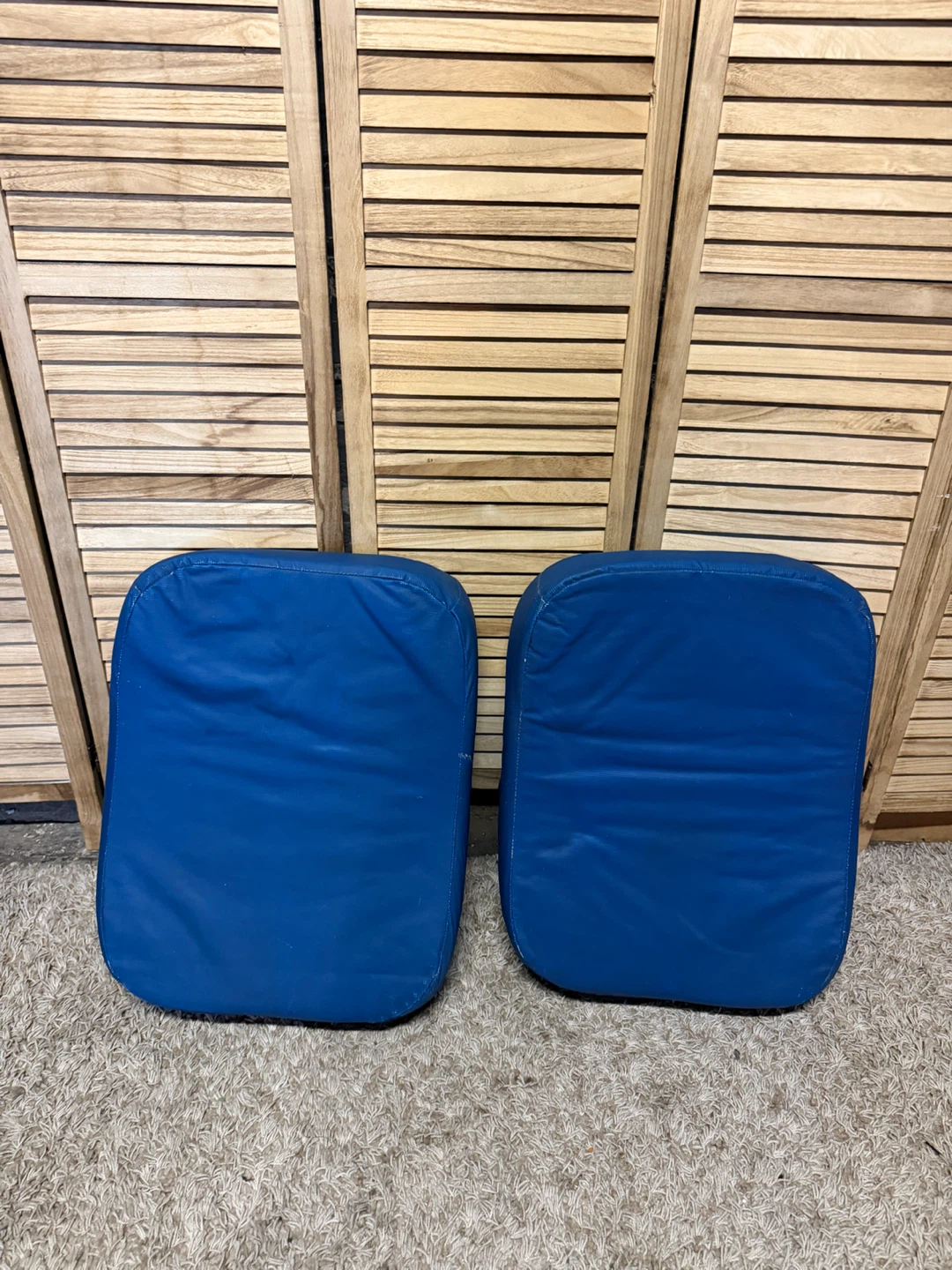 Pair of blocking shields