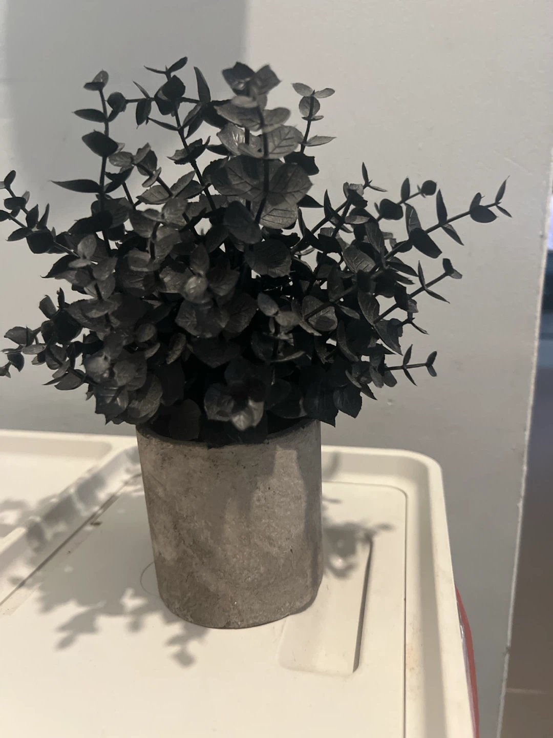 Black Faux Eucalyptus Plant in Concrete Pot