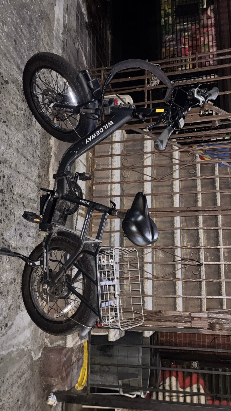 WILDWAY FW11S Electric Bike - photo 2
