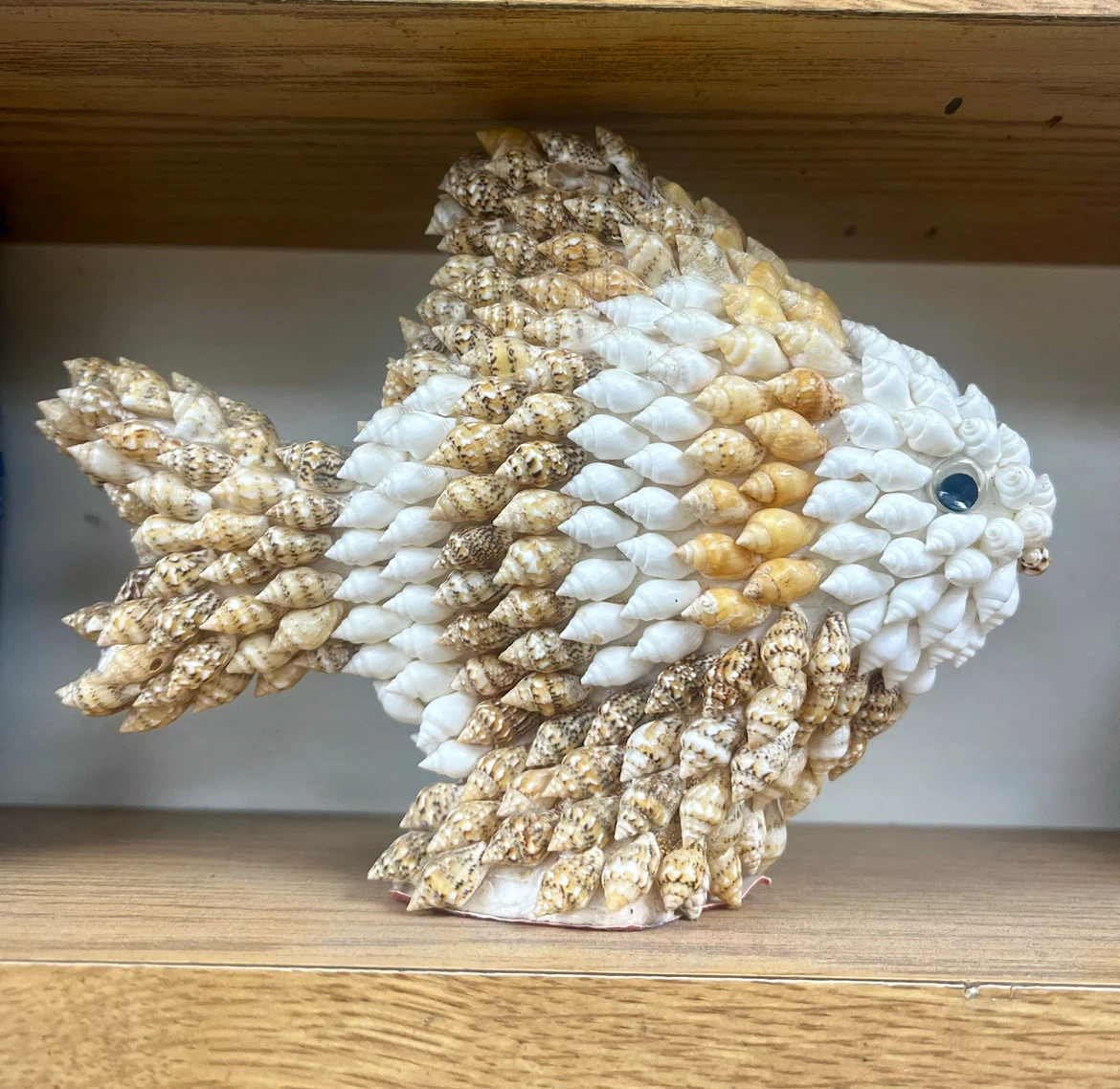 Seashell Fish Decor