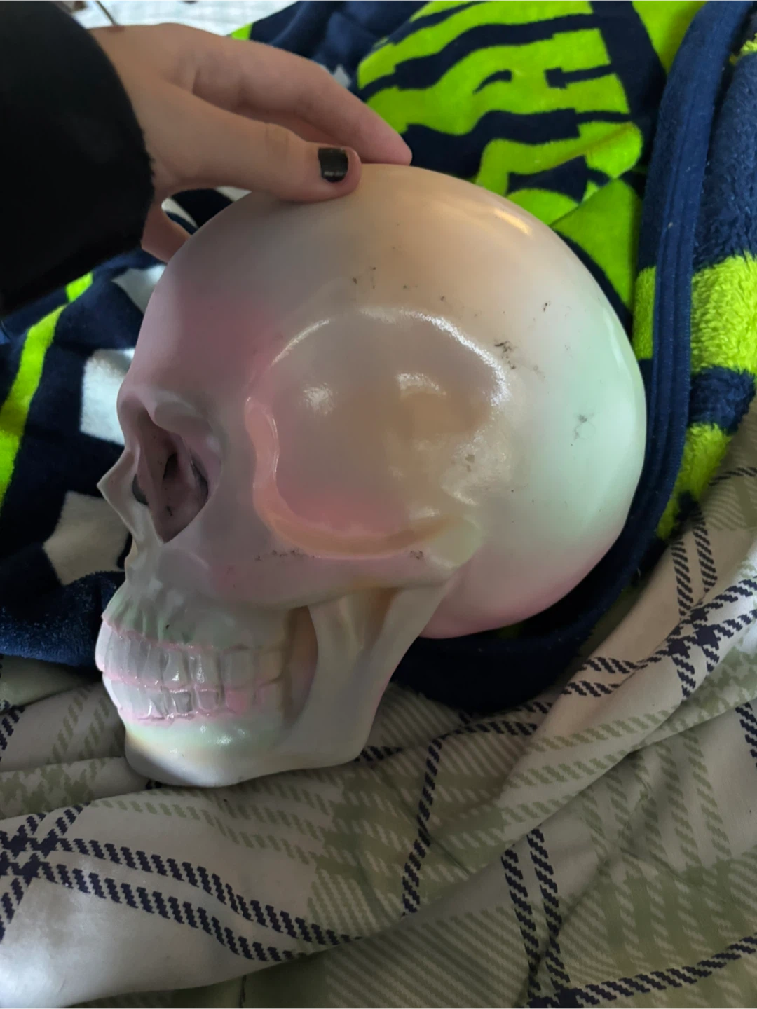 Rainbow Decorative Skull - photo 2