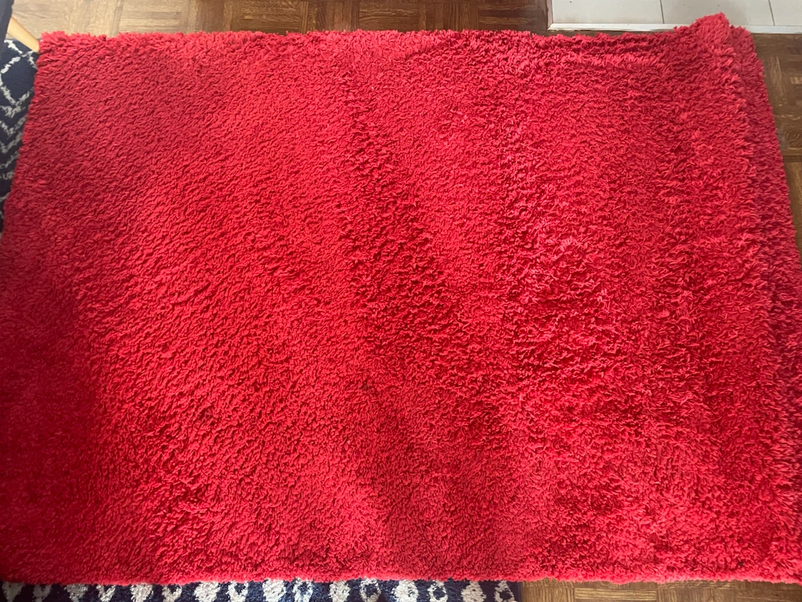 OBO! Bright Red Shag Area Rug 52x72 Like New