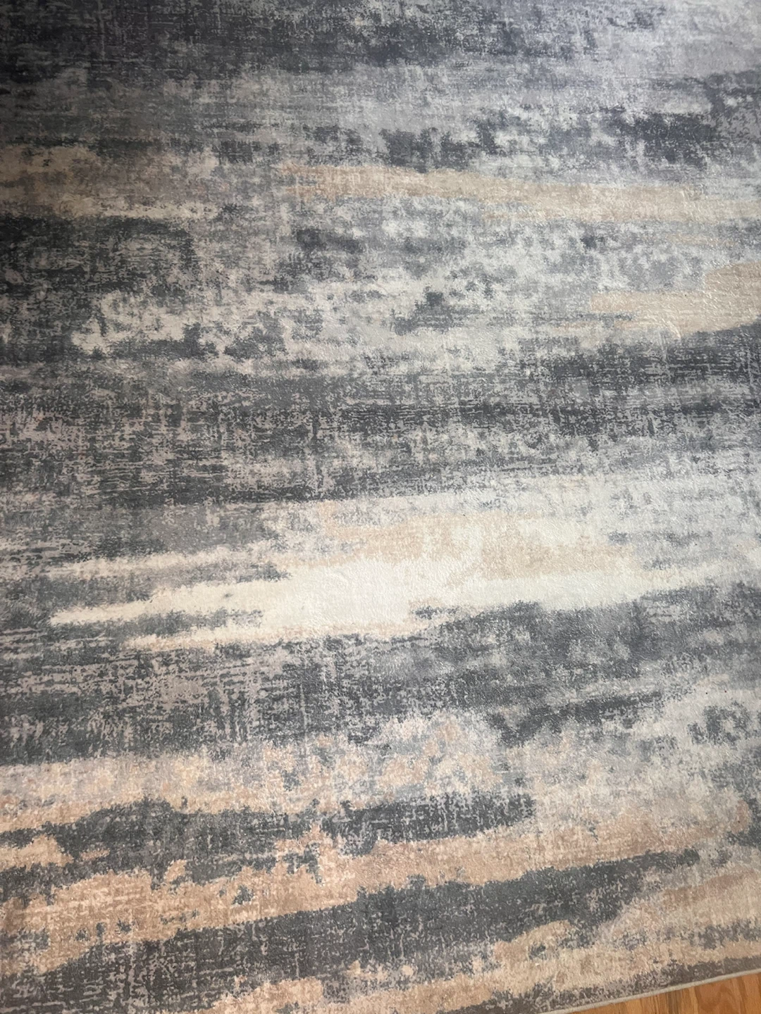 Area Rug - Abstract Gray and Beige - photo 2