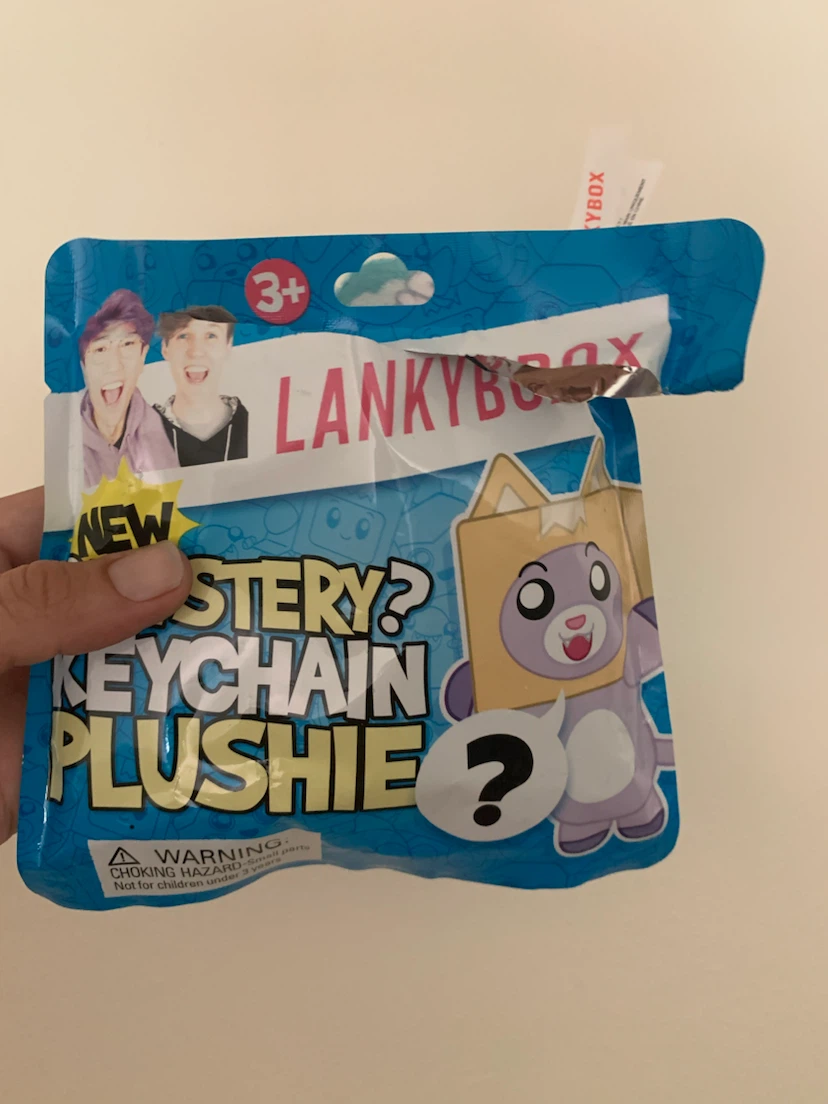 LankyBox Mystery Plush Keychain - photo 5