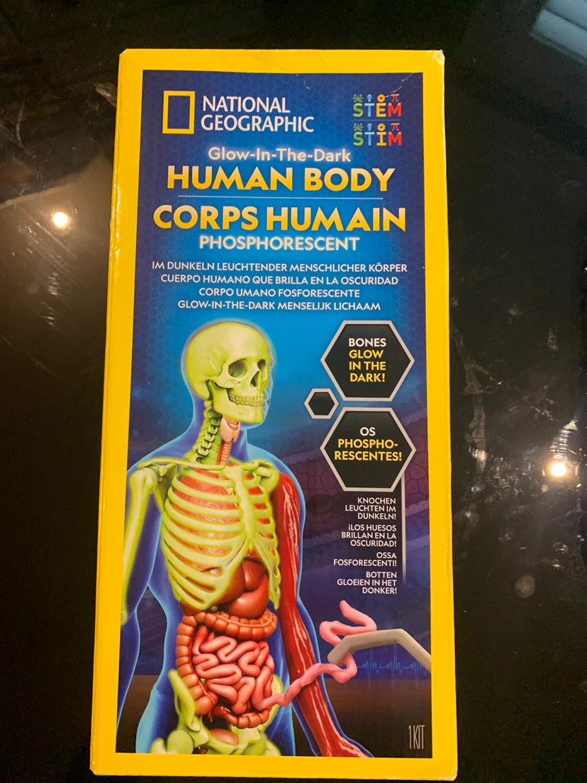 National Geographic Glow-In-The-Dark Human Body Kit