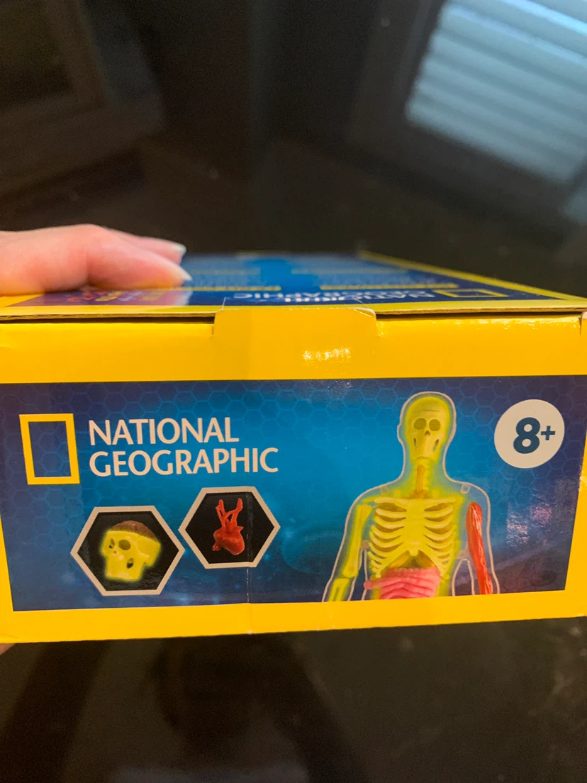 National Geographic Glow-In-The-Dark Human Body Kit - photo 5