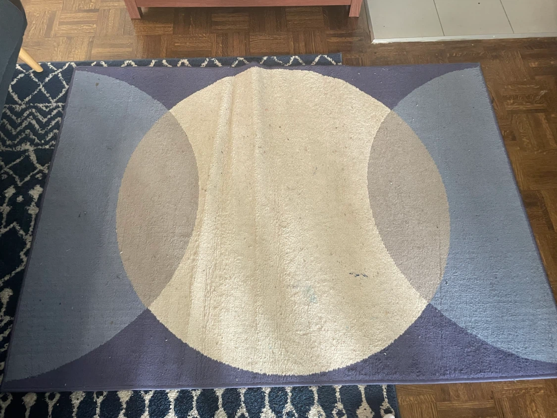 OBO! Blue/Grey/White Area Rug 48x66